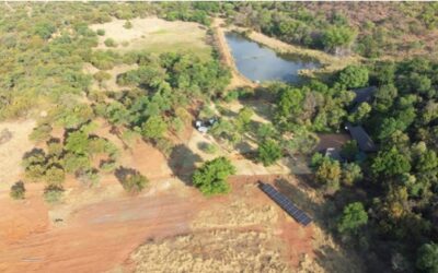 Goodbye Diesel Bills: How Solar Power Can Save Your Business Money