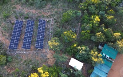 Understanding Reactive Power: How It’s Wasting Your Factory’s Electricity (and Your Money)