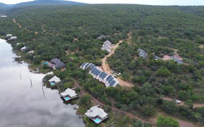 The Power of Returning Clients