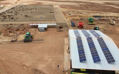 Can Your Business Really Go Off-Grid in South Africa?