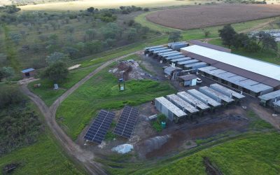 Solar for Farms: What Every South African Agribusiness Needs to Know